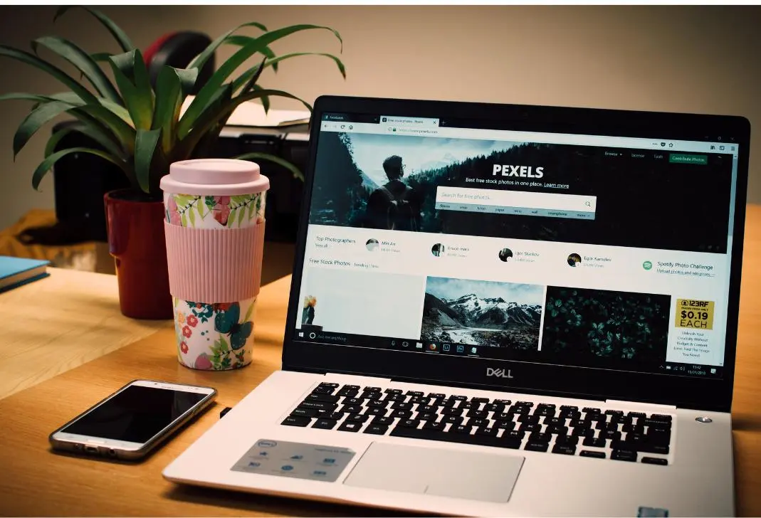 Web Development